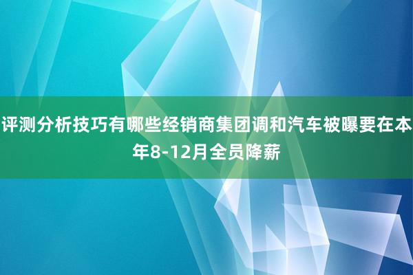 评测分析技巧有哪些经销商集团调和汽车被曝要在本年8-12月全员降薪