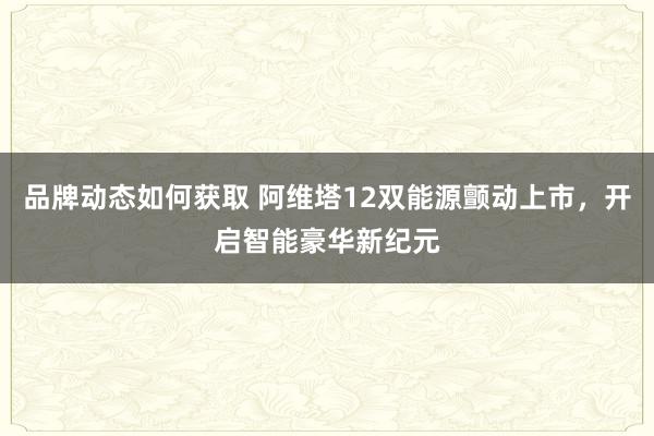 品牌动态如何获取 阿维塔12双能源颤动上市，开启智能豪华新纪元