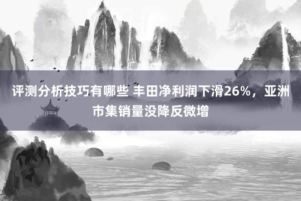 评测分析技巧有哪些 丰田净利润下滑26%，亚洲市集销量没降反微增