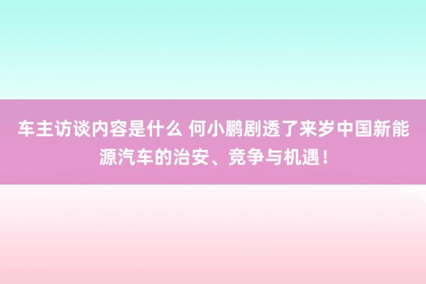 车主访谈内容是什么 何小鹏剧透了来岁中国新能源汽车的治安、竞争与机遇！