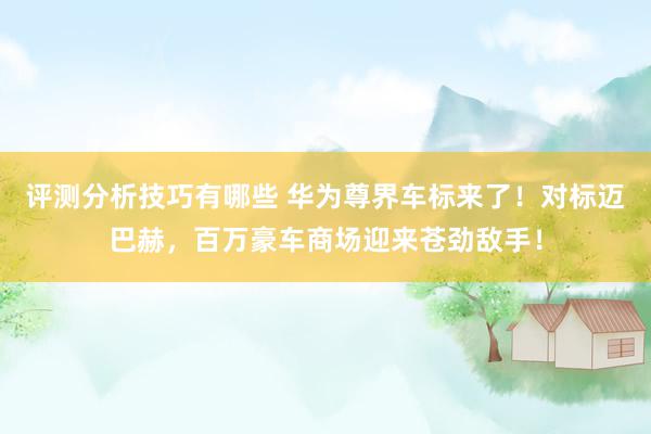 评测分析技巧有哪些 华为尊界车标来了！对标迈巴赫，百万豪车商场迎来苍劲敌手！