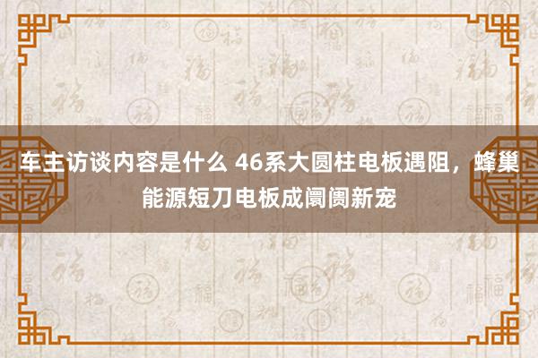 车主访谈内容是什么 46系大圆柱电板遇阻，蜂巢能源短刀电板成阛阓新宠