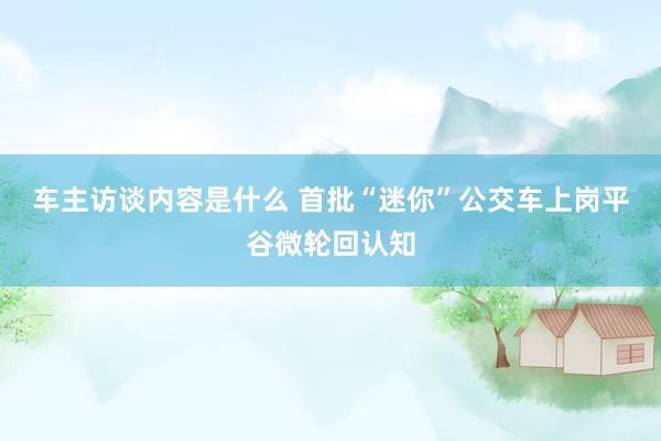 车主访谈内容是什么 首批“迷你”公交车上岗平谷微轮回认知