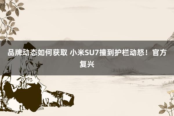 品牌动态如何获取 小米SU7撞到护栏动怒！官方复兴