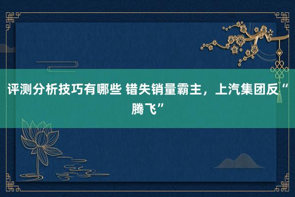 评测分析技巧有哪些 错失销量霸主，上汽集团反“腾飞”