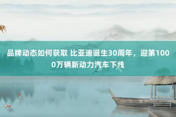 品牌动态如何获取 比亚迪诞生30周年，迎第1000万辆新动力汽车下线