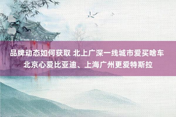 品牌动态如何获取 北上广深一线城市爱买啥车 北京心爱比亚迪、上海广州更爱特斯拉