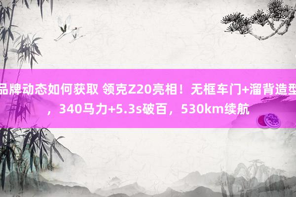 品牌动态如何获取 领克Z20亮相！无框车门+溜背造型，340马力+5.3s破百，530km续航