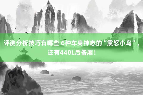 评测分析技巧有哪些 6种车身神志的“震怒小鸟”，还有440L后备厢！