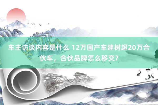 车主访谈内容是什么 12万国产车建树超20万合伙车，合伙品牌怎么移交？