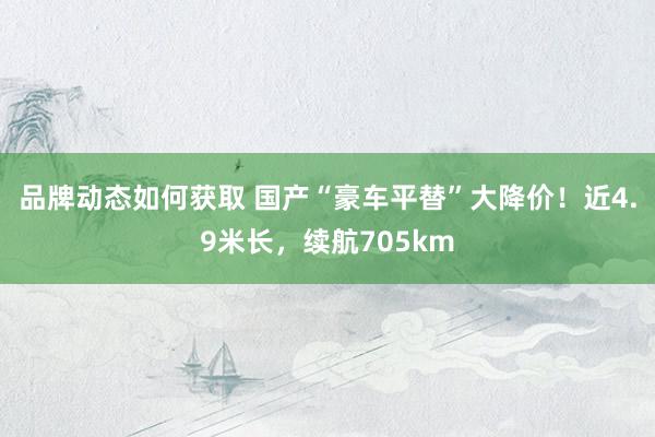 品牌动态如何获取 国产“豪车平替”大降价！近4.9米长，续航705km