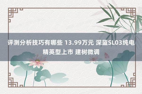 评测分析技巧有哪些 13.99万元 深蓝SL03纯电精英型上市 建树微调