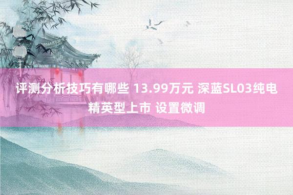 评测分析技巧有哪些 13.99万元 深蓝SL03纯电精英型上市 设置微调