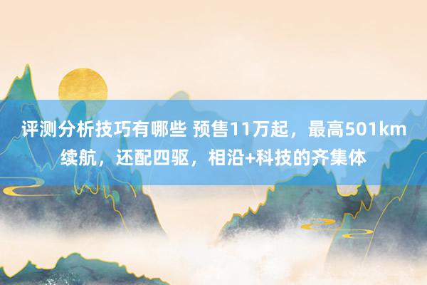 评测分析技巧有哪些 预售11万起，最高501km续航，还配四驱，相沿+科技的齐集体