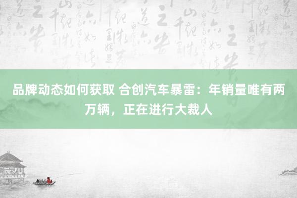 品牌动态如何获取 合创汽车暴雷：年销量唯有两万辆，正在进行大裁人