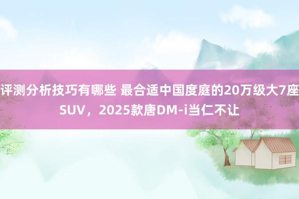 评测分析技巧有哪些 最合适中国度庭的20万级大7座SUV，2025款唐DM-i当仁不让