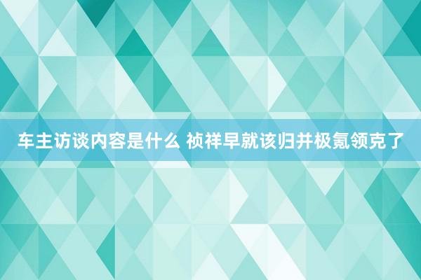 车主访谈内容是什么 祯祥早就该归并极氪领克了