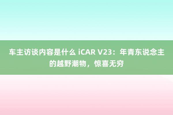 车主访谈内容是什么 iCAR V23：年青东说念主的越野潮物，惊喜无穷