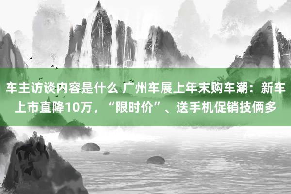 车主访谈内容是什么 广州车展上年末购车潮：新车上市直降10万，“限时价”、送手机促销技俩多