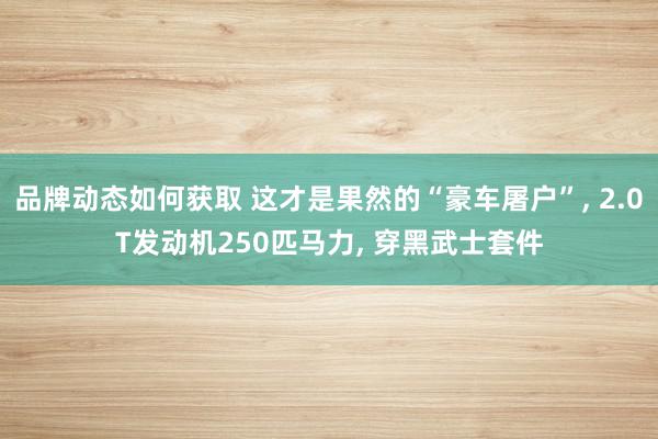 品牌动态如何获取 这才是果然的“豪车屠户”, 2.0T发动机250匹马力, 穿黑武士套件