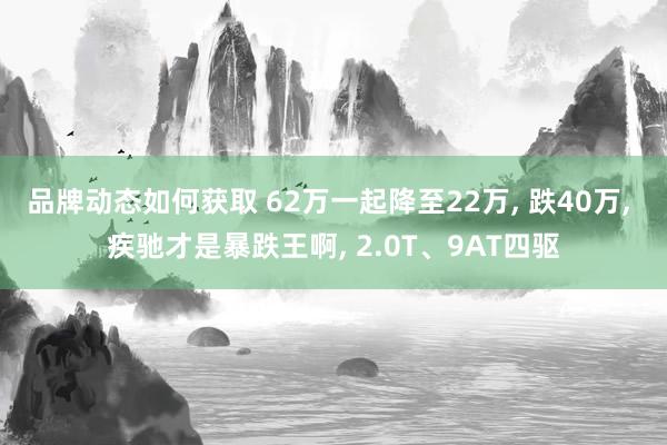 品牌动态如何获取 62万一起降至22万, 跌40万, 疾驰才是暴跌王啊, 2.0T、9AT四驱