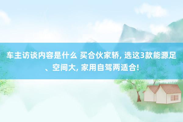 车主访谈内容是什么 买合伙家轿, 选这3款能源足、空间大, 家用自驾两适合!