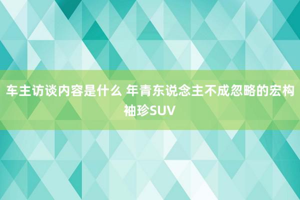 车主访谈内容是什么 年青东说念主不成忽略的宏构袖珍SUV