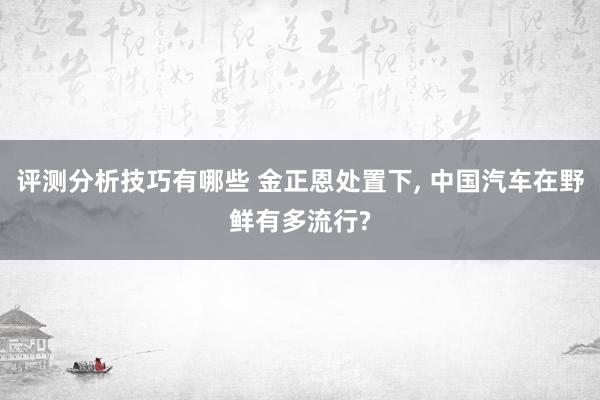 评测分析技巧有哪些 金正恩处置下, 中国汽车在野鲜有多流行?