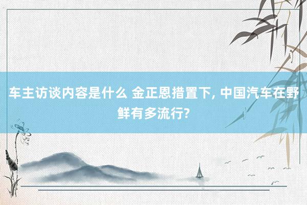 车主访谈内容是什么 金正恩措置下, 中国汽车在野鲜有多流行?