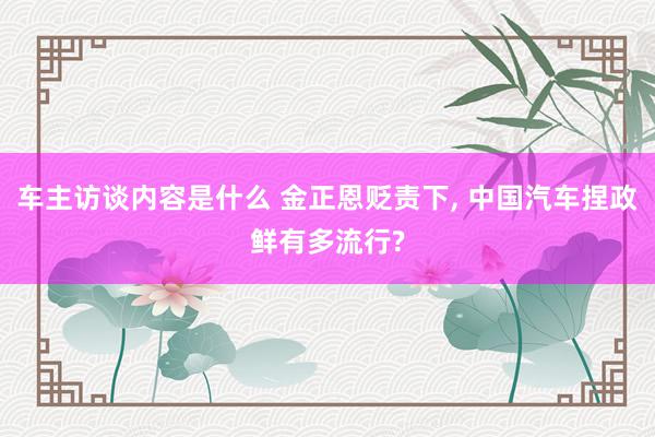 车主访谈内容是什么 金正恩贬责下, 中国汽车捏政鲜有多流行?