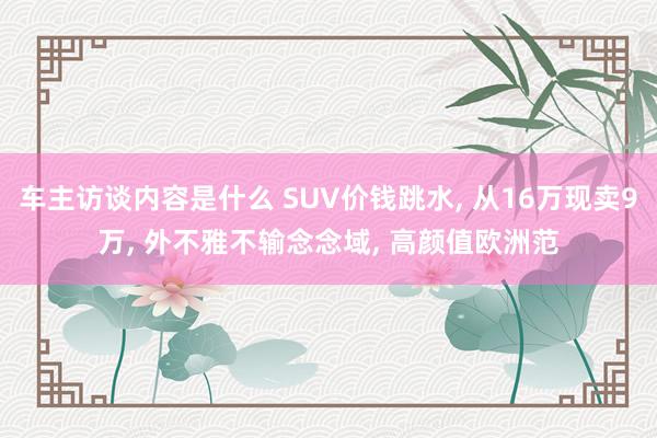 车主访谈内容是什么 SUV价钱跳水, 从16万现卖9万, 外不雅不输念念域, 高颜值欧洲范