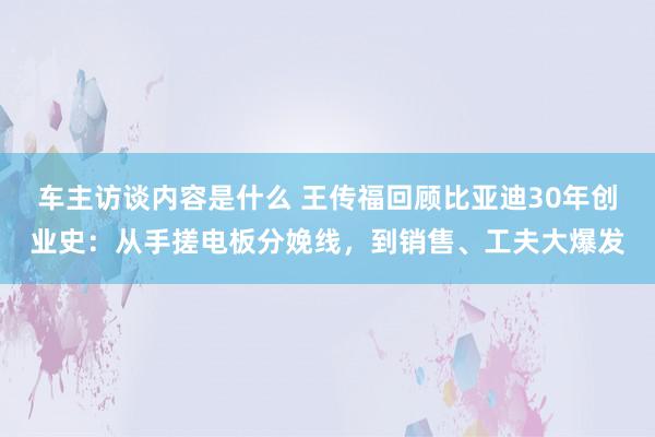 车主访谈内容是什么 王传福回顾比亚迪30年创业史：从手搓电板分娩线，到销售、工夫大爆发