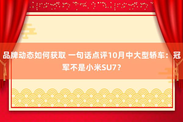 品牌动态如何获取 一句话点评10月中大型轿车：冠军不是小米SU7？