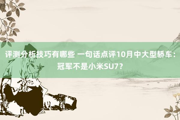 评测分析技巧有哪些 一句话点评10月中大型轿车：冠军不是小米SU7？