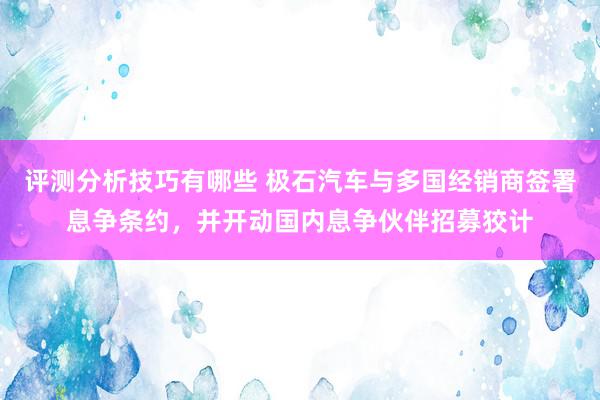 评测分析技巧有哪些 极石汽车与多国经销商签署息争条约，并开动国内息争伙伴招募狡计