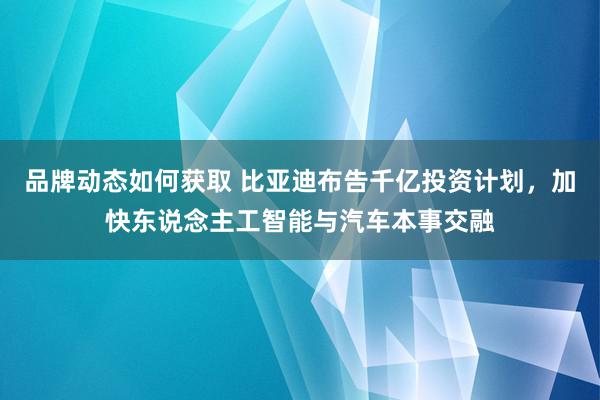 品牌动态如何获取 比亚迪布告千亿投资计划，加快东说念主工智能与汽车本事交融