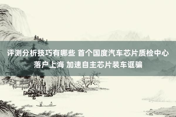 评测分析技巧有哪些 首个国度汽车芯片质检中心落户上海 加速自主芯片装车诓骗