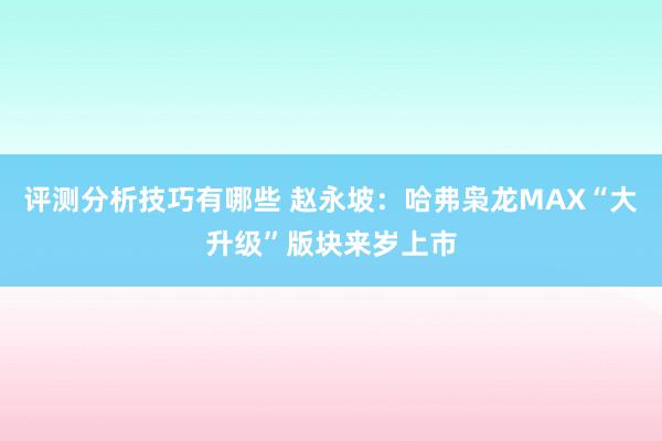 评测分析技巧有哪些 赵永坡：哈弗枭龙MAX“大升级”版块来岁上市