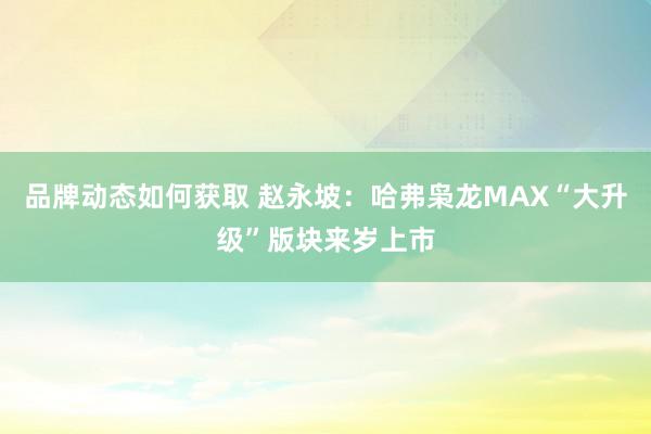 品牌动态如何获取 赵永坡：哈弗枭龙MAX“大升级”版块来岁上市