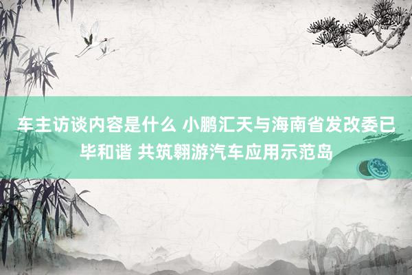 车主访谈内容是什么 小鹏汇天与海南省发改委已毕和谐 共筑翱游汽车应用示范岛