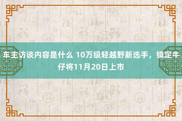 车主访谈内容是什么 10万级轻越野新选手，镇定牛仔将11月20日上市