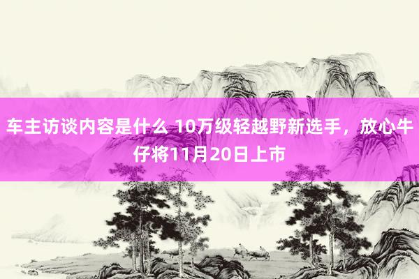 车主访谈内容是什么 10万级轻越野新选手，放心牛仔将11月20日上市