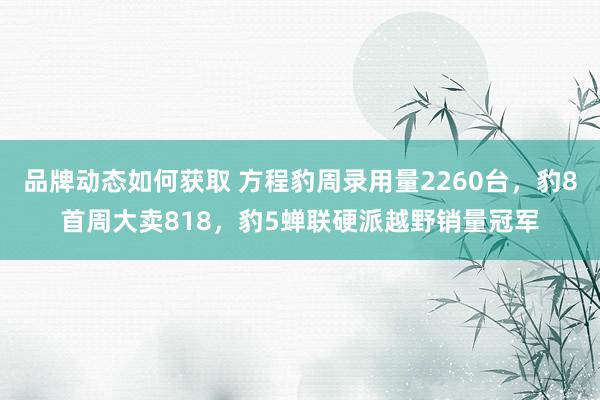 品牌动态如何获取 方程豹周录用量2260台，豹8首周大卖818，豹5蝉联硬派越野销量冠军