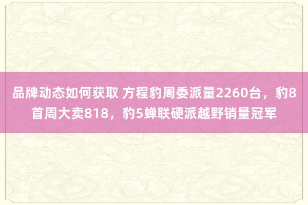 品牌动态如何获取 方程豹周委派量2260台，豹8首周大卖818，豹5蝉联硬派越野销量冠军